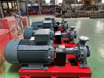 Máy Bơm Ebara 110kw(GS 125-250L)